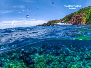 慶良間 ダイビング