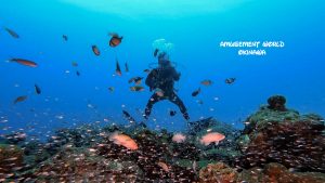 水納島　ファンダイビング