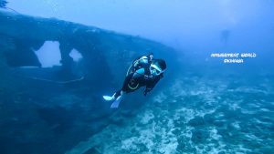 恩納村 ダイビングライセンス