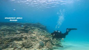 沖縄 ダイビング