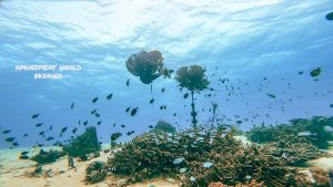 恩納村 ダイビングライセンス