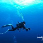 着後でドリフトダイビング　トライアングルでファンダイビング