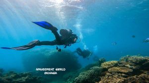 沖縄 ダイビングライセンス