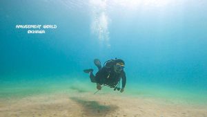 沖縄北部 ダイビング