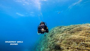 沖縄恩納村万座でファンダイビング!軽石増えてきました・・