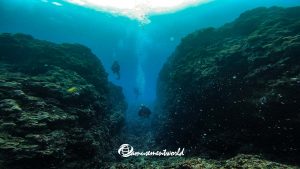 恩納村でドリフトダイビング!