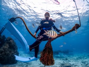 恩納村 ダイビング