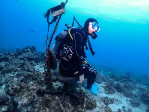 イシキリ ダイビング