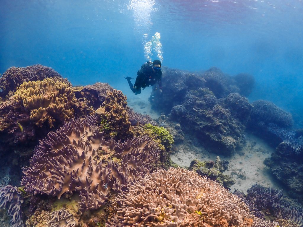 恩納村 ダイビングライセンス