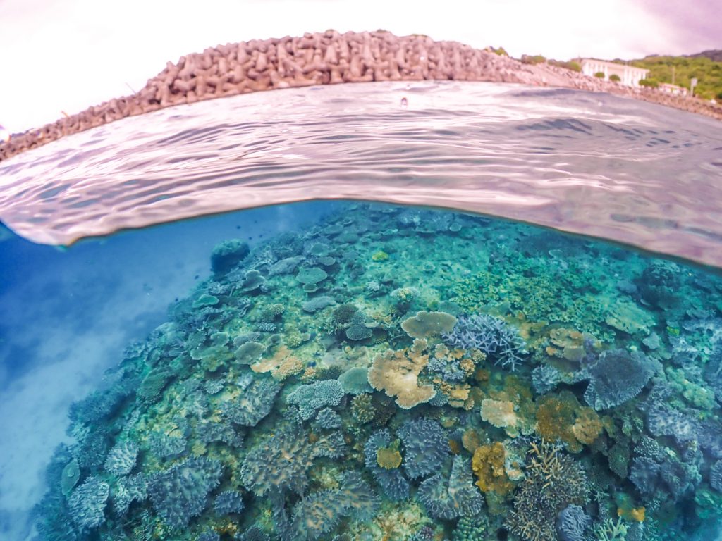 恩納村 ダイビングライセンス