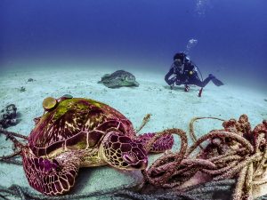 恩納村万座でファンダイビング！！地形にマクロに！