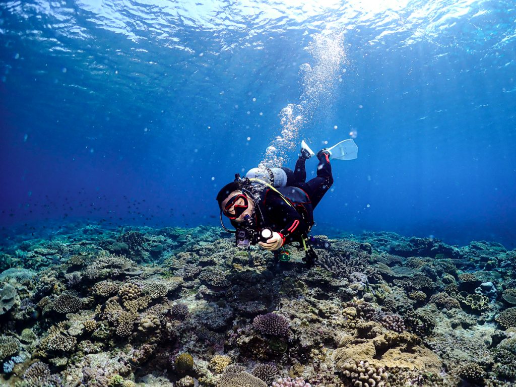 恩納村 ダイビングライセンス