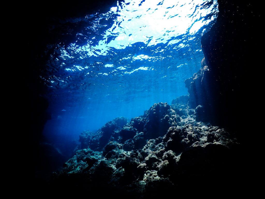 沖縄ダイビングライセンス