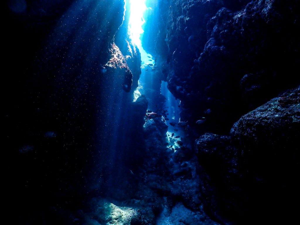 沖縄　ダイビングライセンス