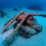 沖縄読谷村でファンダイビング！！