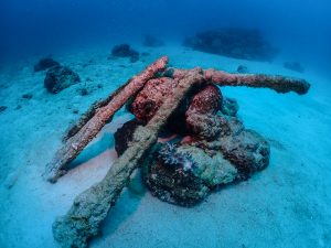 沖縄読谷村でファンダイビング！！