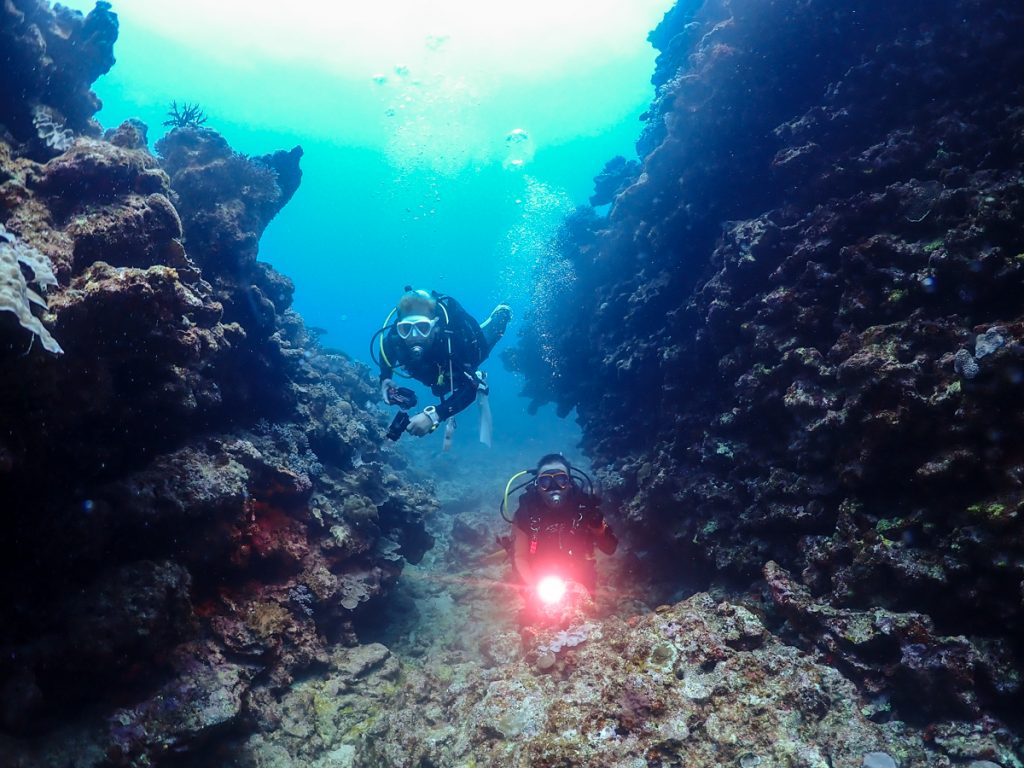 沖縄 ダイビングライセンス