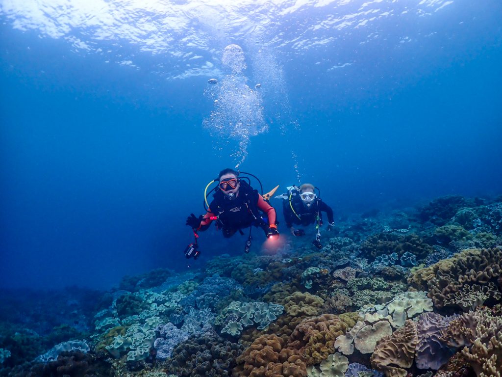 沖縄 ダイビングライセンス