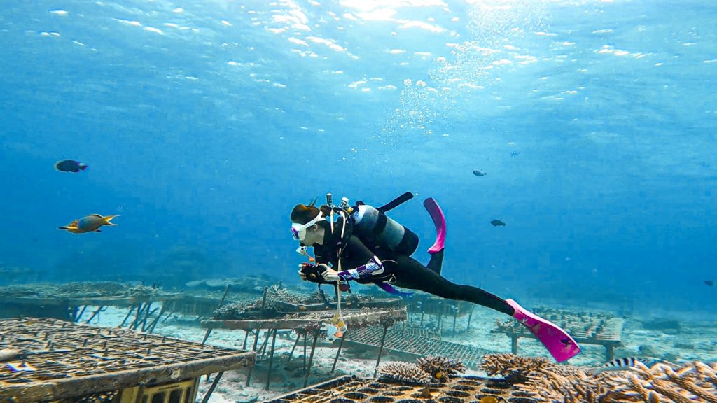 沖縄 ダイビングライセンス
