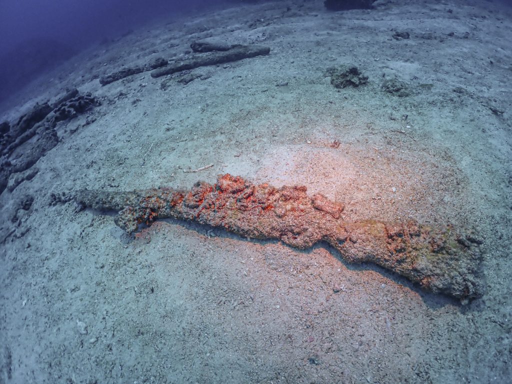 恩納村 ダイビングライセンス