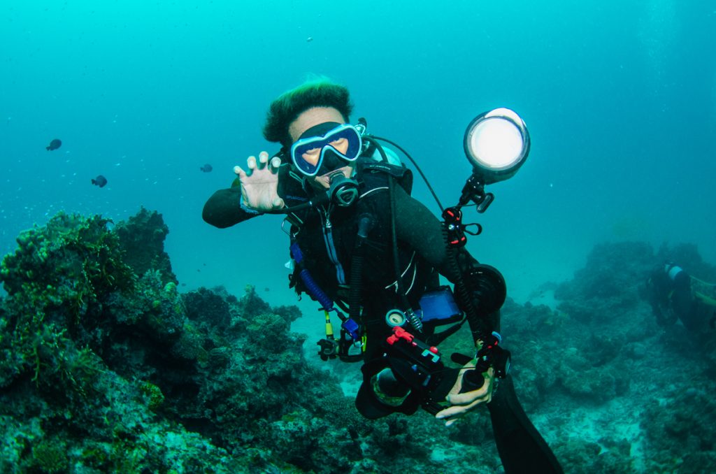 沖縄 ダイビング