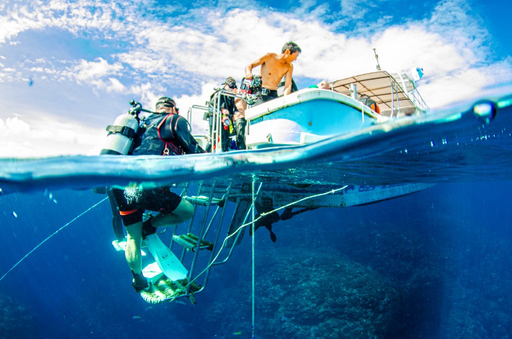 沖縄 ダイビング