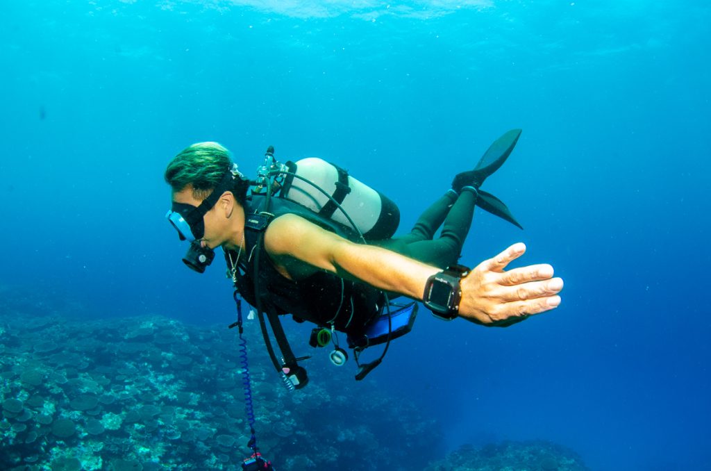 沖縄 ダイビング
