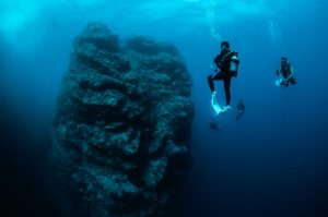 沖縄最北端 辺戸岬でファンダイビング!!