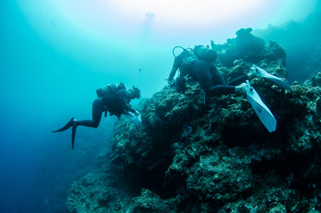 沖縄 ダイビングライセンス