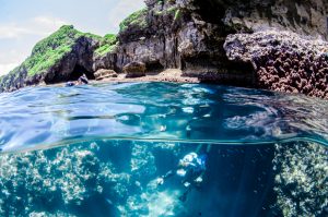 真栄田岬でフォトダイビング！