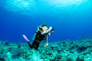 ケラマでファンダイビング！ケラマシーズンが来ましたね！