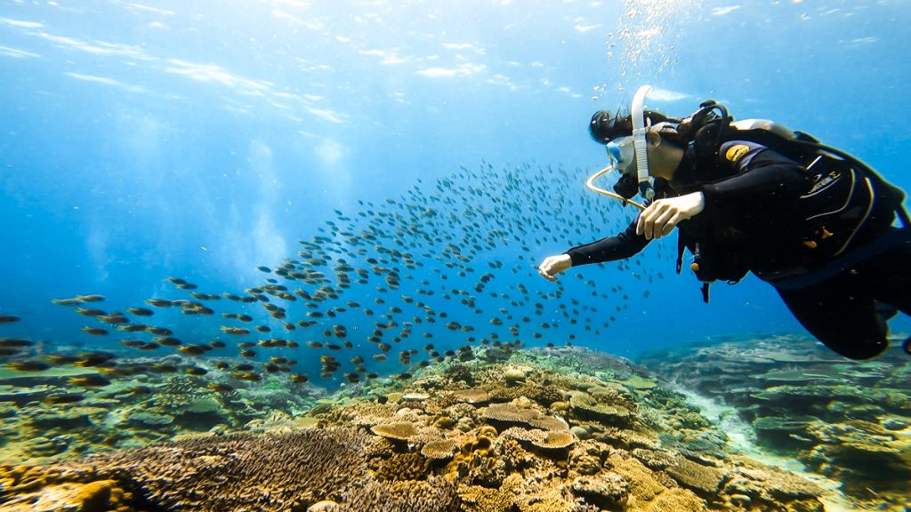 恩納村 ダイビングライセンス