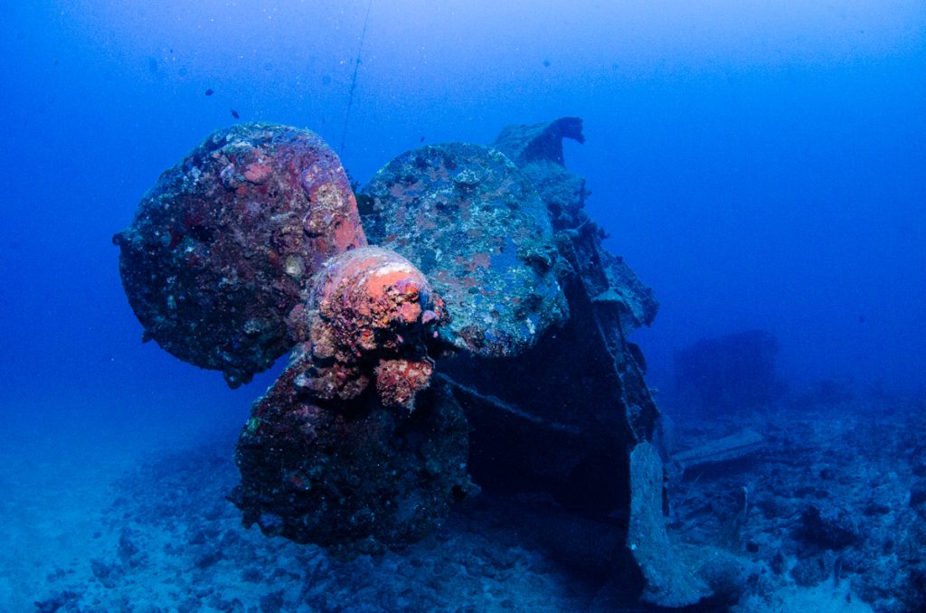 エモンズ ダイビング