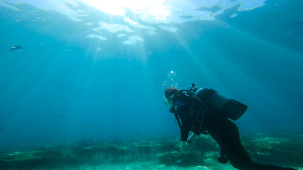 沖縄 ダイビングライセンス