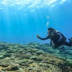 エモンズダイビング!海況最強!