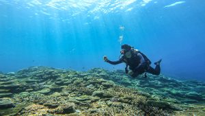 エモンズダイビング！海況最強！