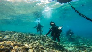 沖縄で再開 今回はダイビングライセンス講習!