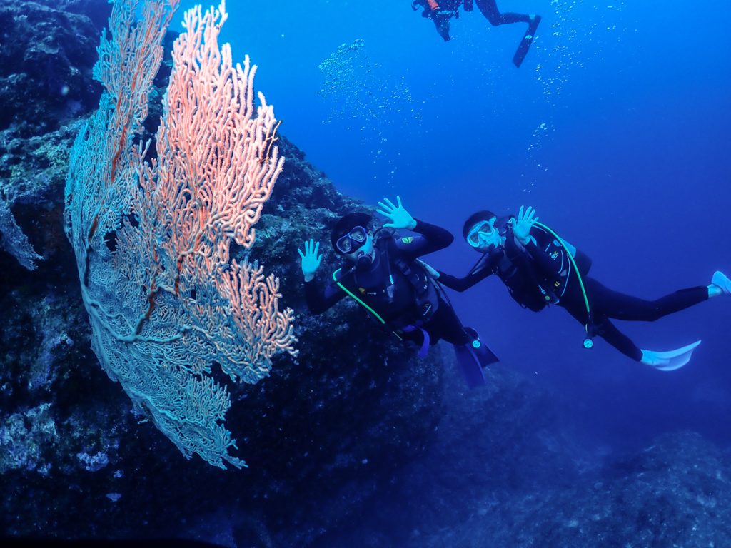 万座 ダイビング