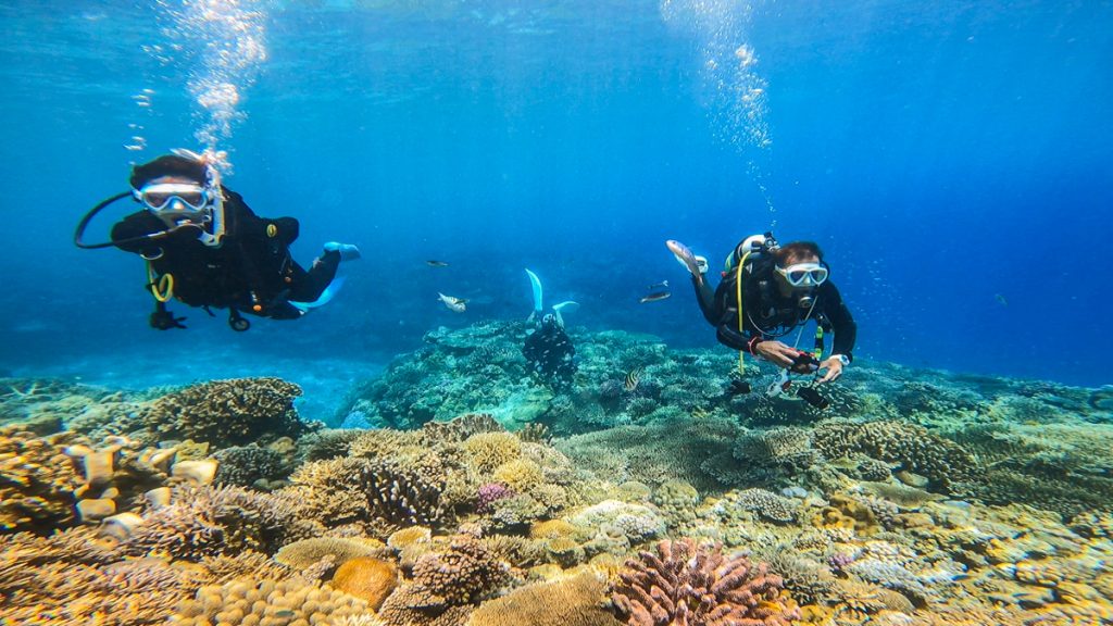 沖縄 ダイビングライセンス