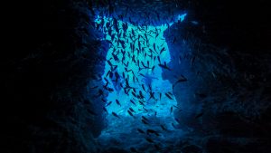 沖縄恩納村　万座でファンダイビング！2年ぶりにいらっしゃい！