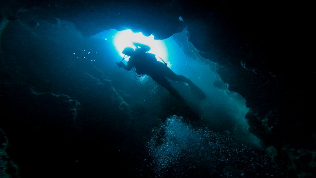 恩納村 ダイビングライセンス