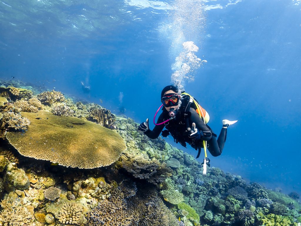 沖縄 ダイビングライセンス