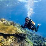沖縄　水納島ファンダイビング＆アドバンス講習！