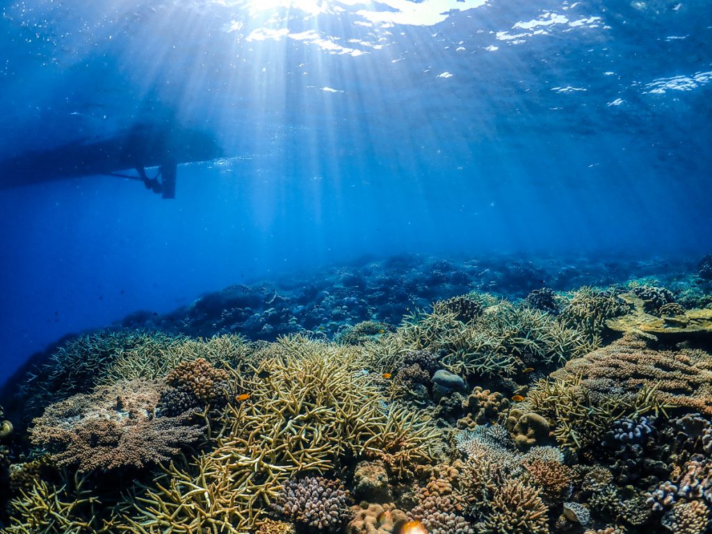 沖縄 ダイビングライセンス