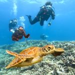 沖縄恩納村万座でファンダイビング!