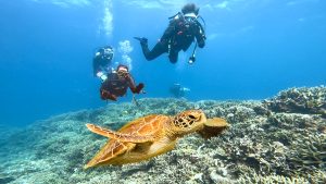 沖縄恩納村万座でファンダイビング！