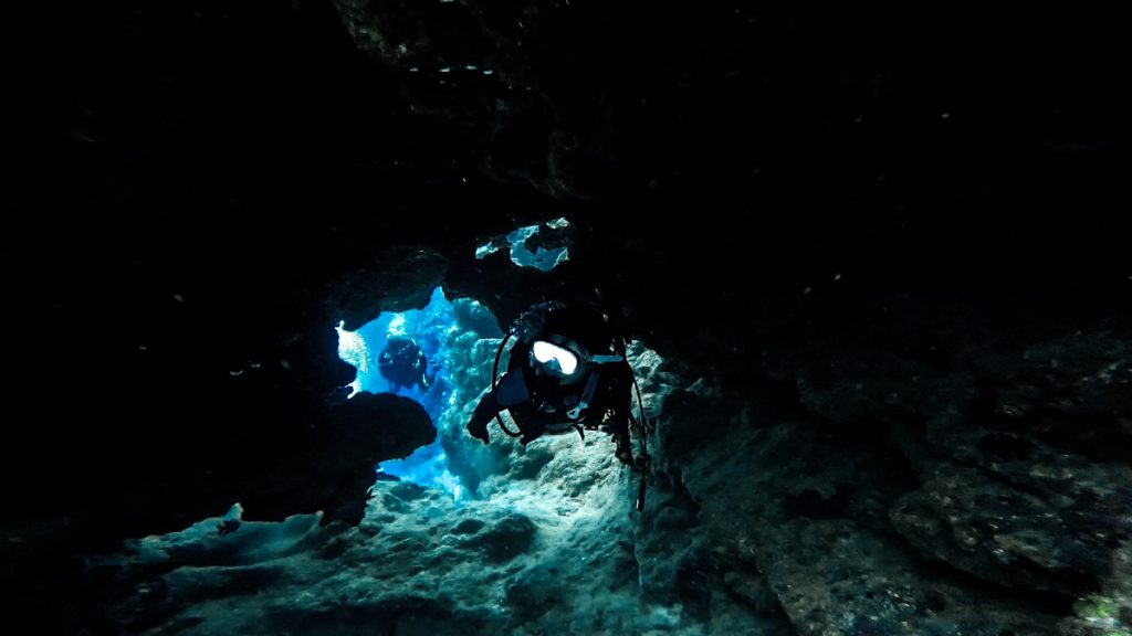 沖縄 ダイビングライセンス