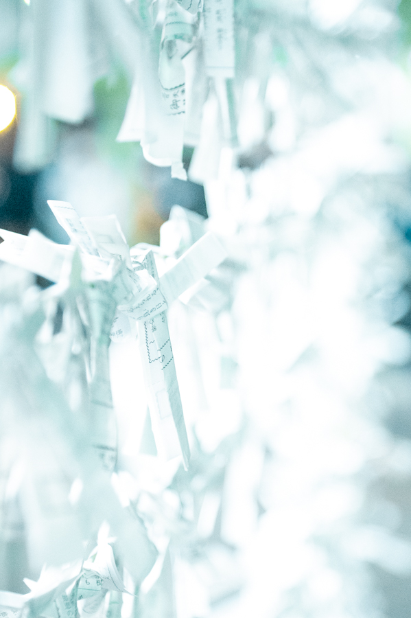 沖縄恩納村 ダイビングライセンス