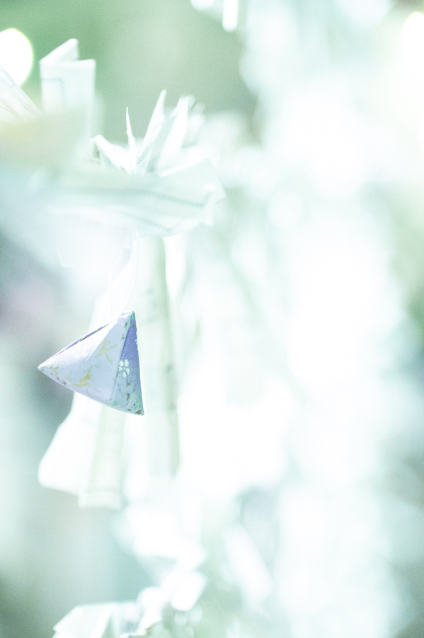 沖縄恩納村 ダイビングライセンス